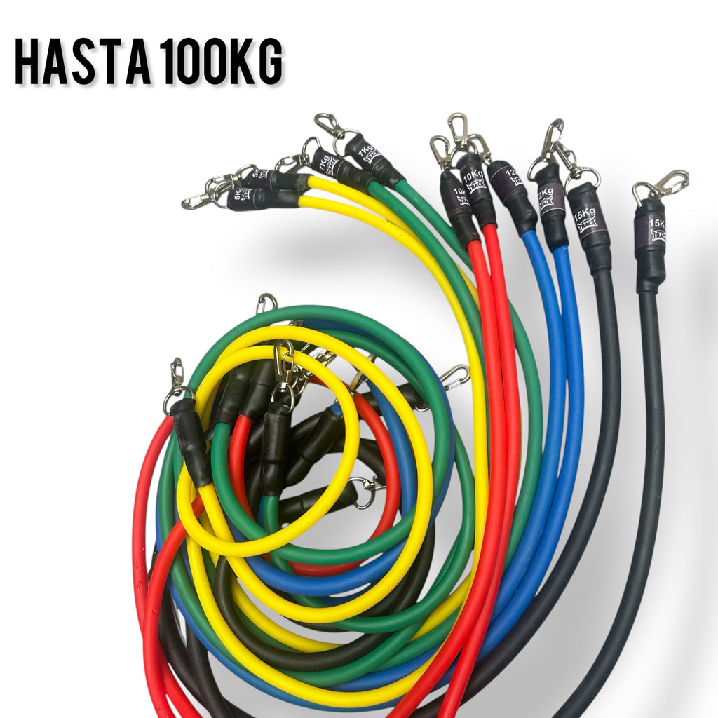 Kit Full Elite 2 Barras Bandas elasticas Profesionales Workout Track